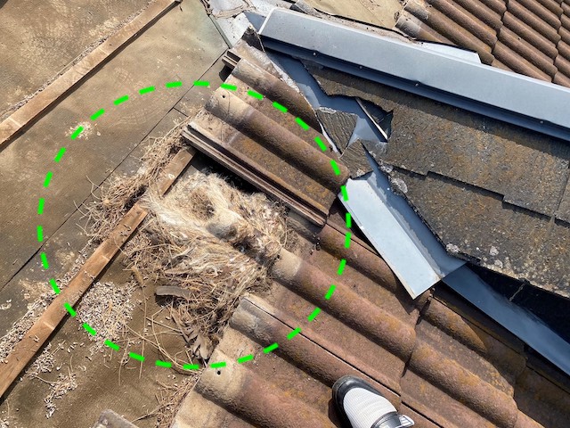 瓦を解体すると、鳥の巣らしき物がある